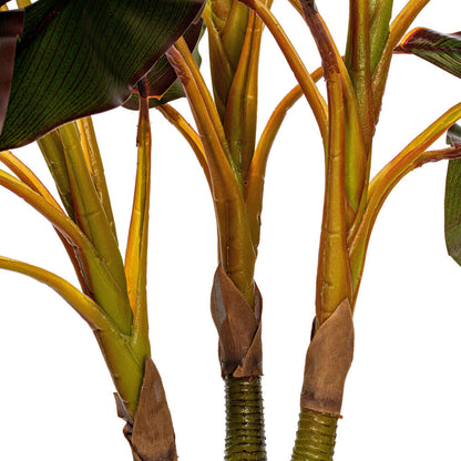 Vickerman 30" Artificial Real Touch Dracaena.