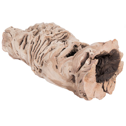 Vickerman 12-14" Grapewood Urns Sand Blasted Dried