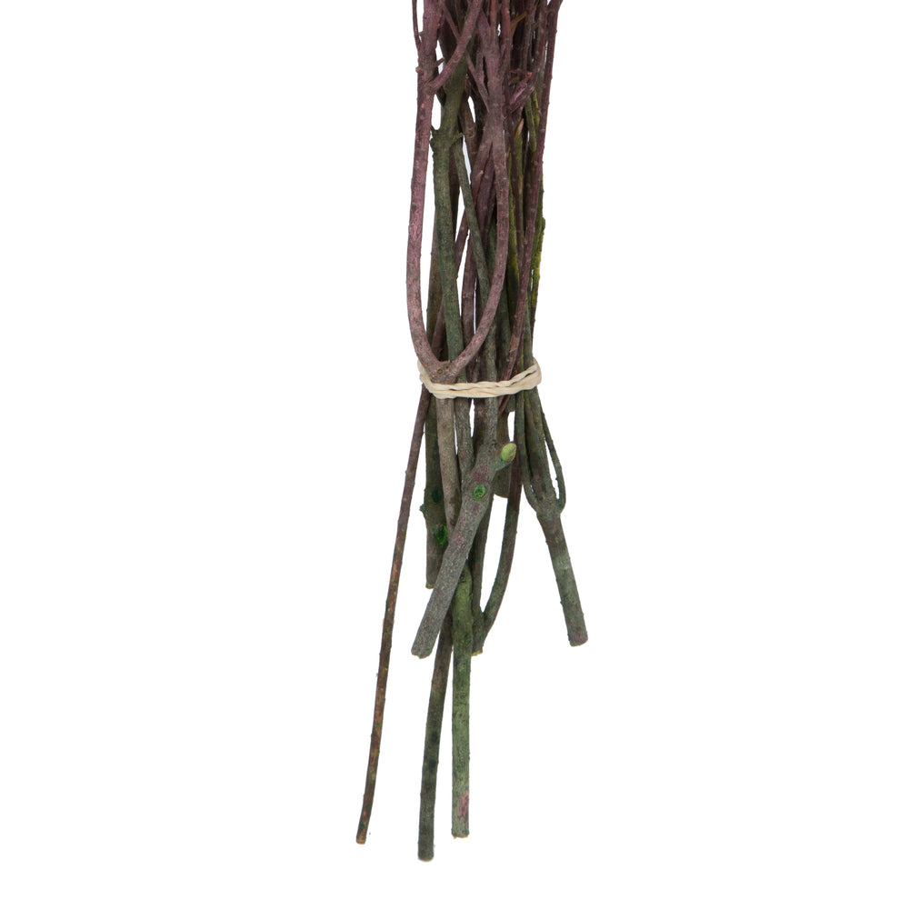 Vickerman 16-22" Light Pink Cotton Phylica Flower 4-5 oz Bundle Preserved