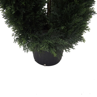 Vickerman 5' Artificial Green Cedar Double Spiral Topiary Black Plastic Pot.Widest part is 16"