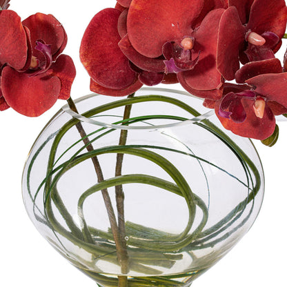 Vickerman 9.8" Artificial Red/Purple Butterfly Orchid In Glass Pot.