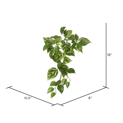 Vickerman 18" Artificial Green Pothos Hanging Bush 3/pk