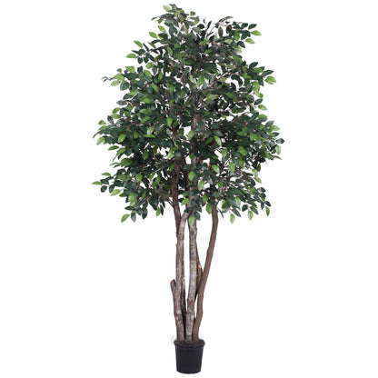 Vickerman 6' Artificial Mini Ficus Executive Black Plastic Pot