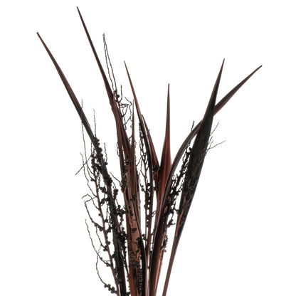 Vickerman 36" Dark Brown Bahia Spears Seeded 9 stems Dried