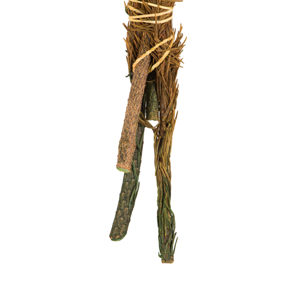 Vickerman 12-16" Autumn Brunia 4 oz Preserved