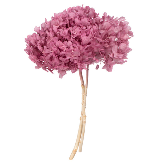 Vickerman 15" Brombeer Hydrangea with Multiple Branch Segments Preserved