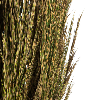Vickerman 36" Natural Green Plume Reed Bundle (15-20 stems) Preserved