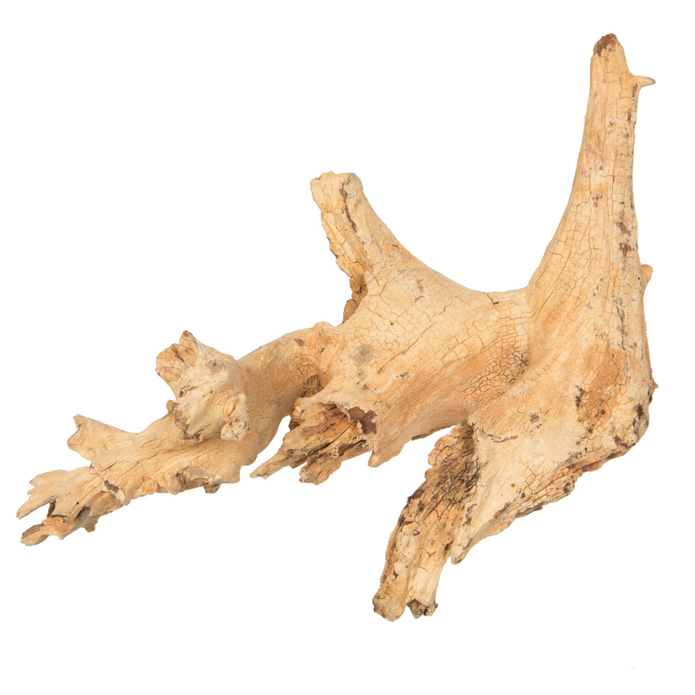 Vickerman 9-12" Bleached Roots - Amazonian Small 1 piece Dried
