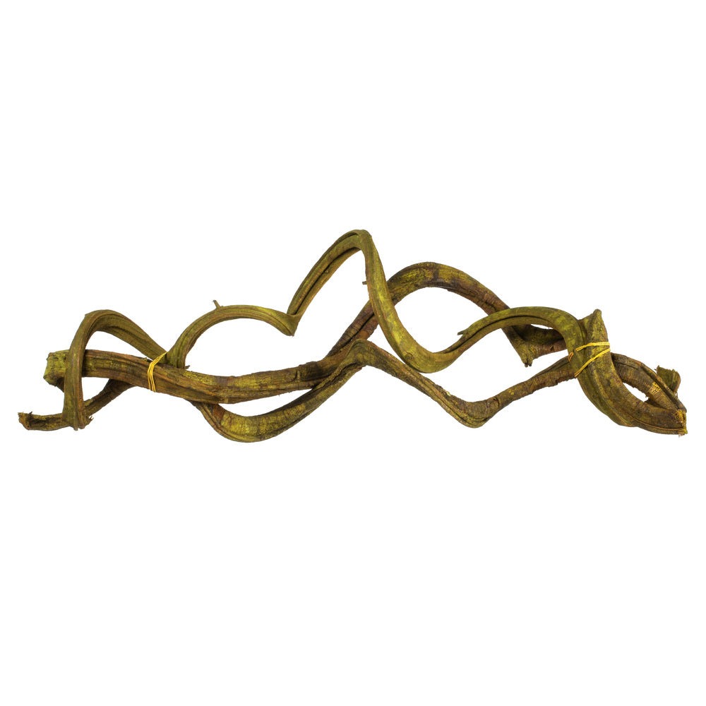 Vickerman 18-22" Basil Twisted Vine Bundle 3 pack