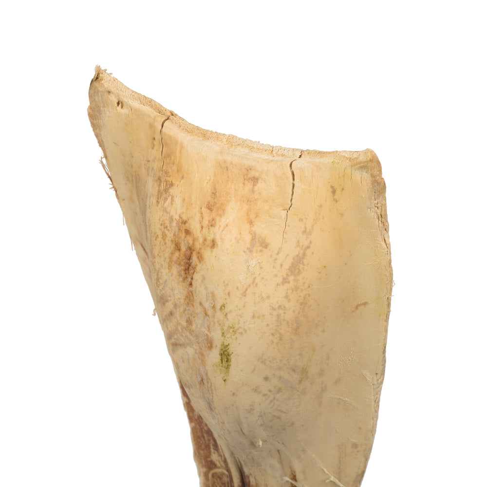 Vickerman 20-24" Bleached Ninja 10 Pack Dried