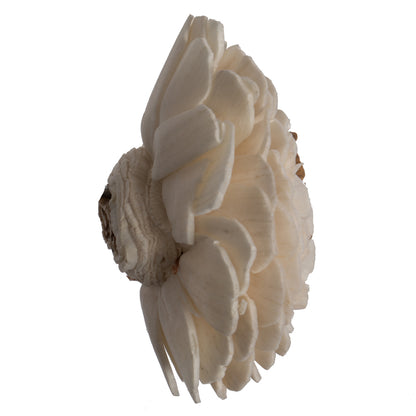 Vickerman Natural Botanicals 1.6"/2.4"/3.2" Assorted Charki Skin Sola Head 24 flowers/polybag.