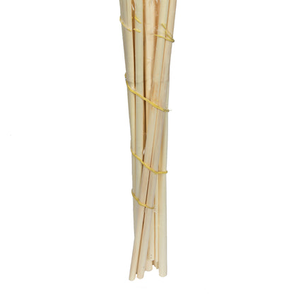 Vickerman 46" Dried Bleached Pampas Grass 6 pieces per Pack.