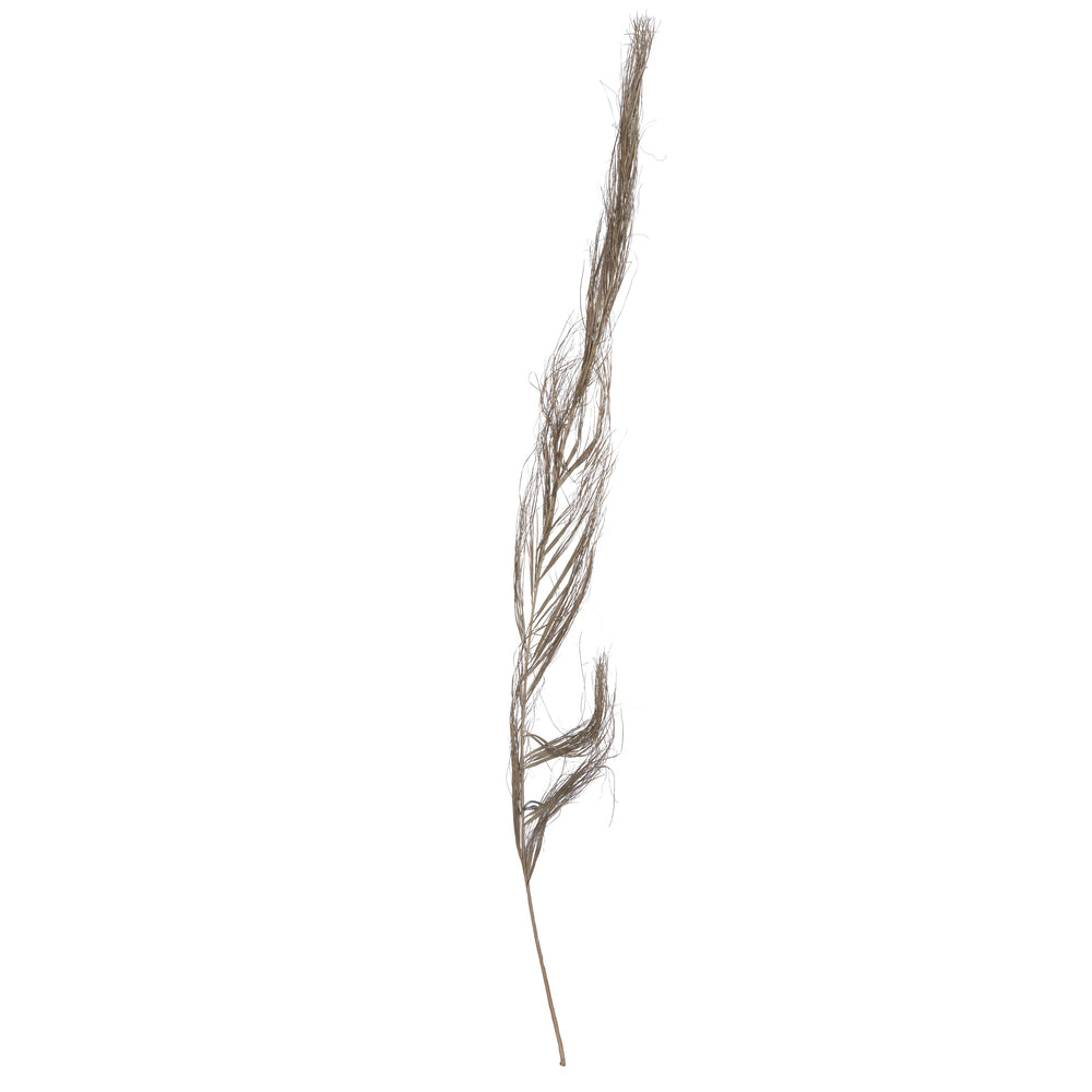 Vickerman Natural Botanicals 40" Khejur Sikha. Includes 30 pieces per Pack.