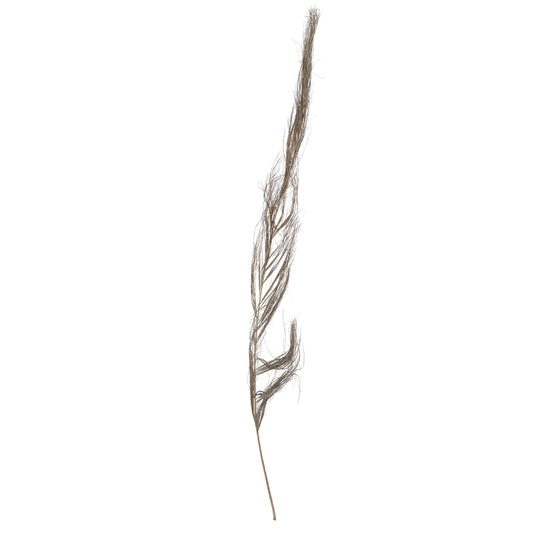 Vickerman Natural Botanicals 40" Khejur Sikha. Includes 30 pieces per Pack.