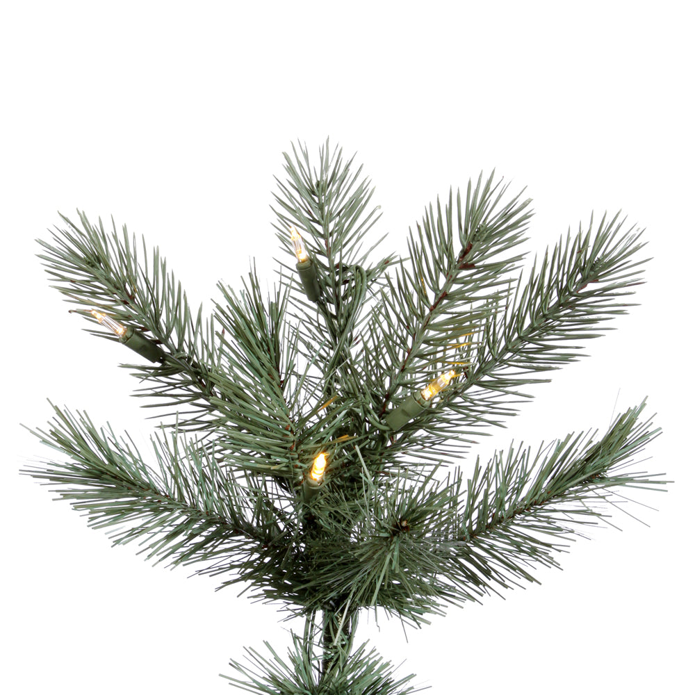 Vickerman 12' Cashmere Pine Slim Artificial Tree 1550 Led Mini Italian Warm White Clear Lights