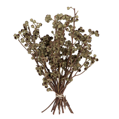 Vickerman Natural Botanicals 14" x 1-3" Natural Ambernut Branch