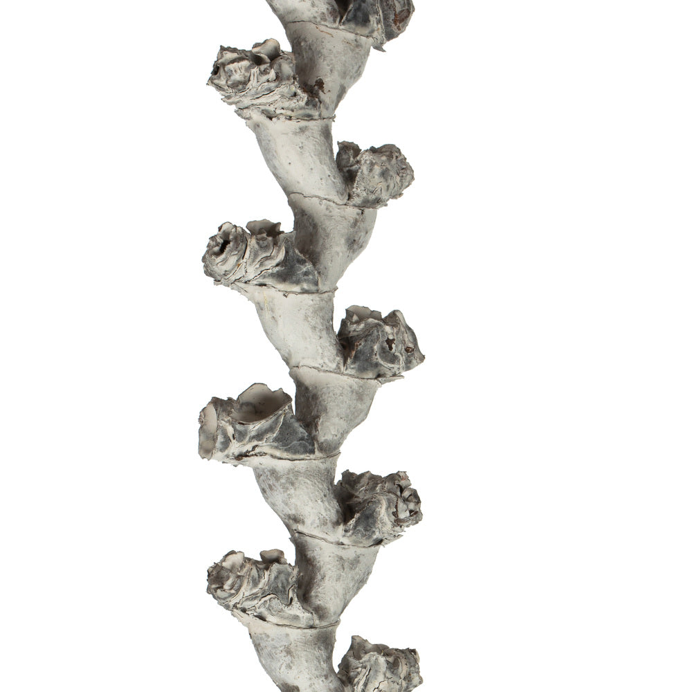 Vickerman 40-48" Light White Wash Ladder Branches - XL straight 7 stems Dried
