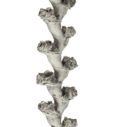 Vickerman 40-48" Light White Wash Ladder Branches - XL straight 7 stems Dried