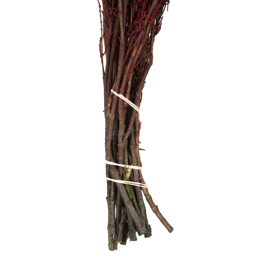 Vickerman 22-26" Red Grabia 5-6 oz Bundle Preserved