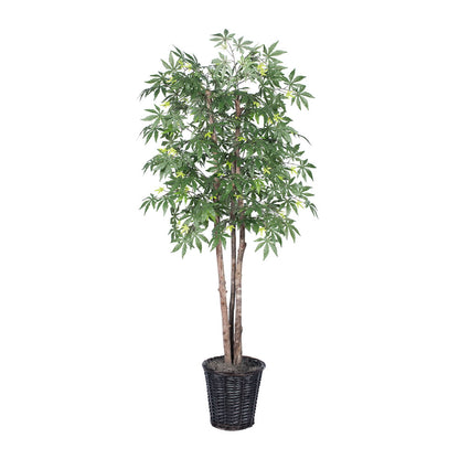 Vickerman 6' Artificial Japanese Maple Deluxe Rattan Basket