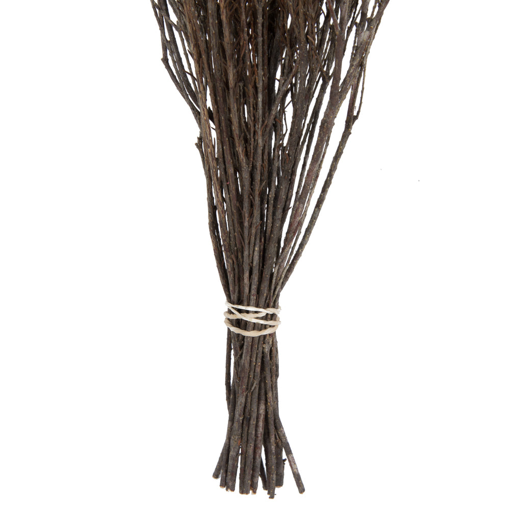 Vickerman Natural Botanicals 19" x 4" Staavia 100 grams per Unit