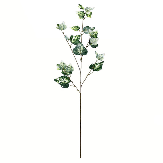 Vickerman 32" Artificial Green Variegated Ivy Spray. Includes 3 sprays per pack.