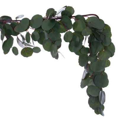 Vickerman 60" Artificial Green Silver Dollar Populus Eucalyptus Garland