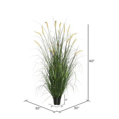 Vickerman 60" PVC Artificial Potted Green Foxtail Grass.