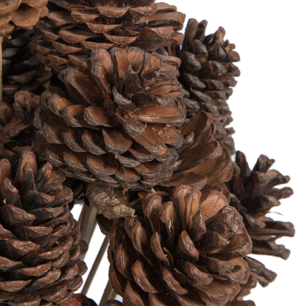 Vickerman Natural Botanicals 2" Blue Pine Natural on Stem. Includes 50 Pieces per Unit