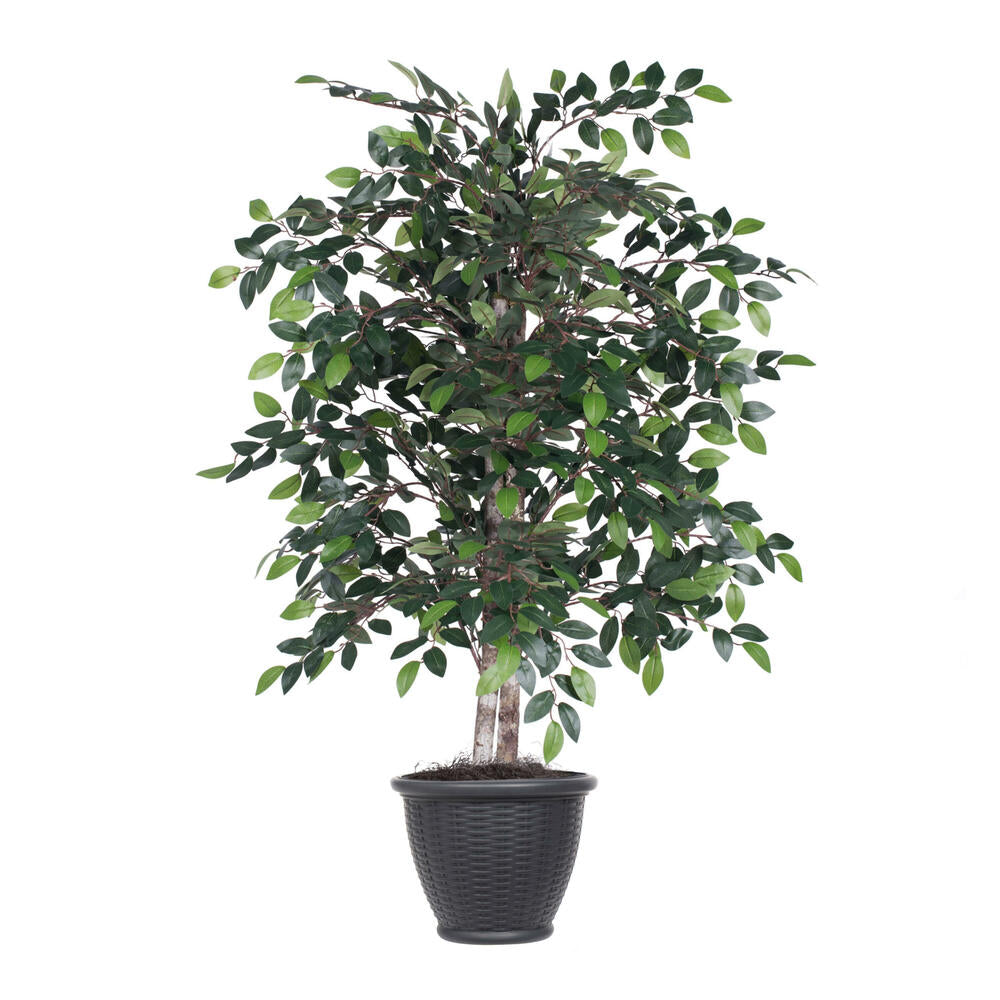 Vickerman 4' Artificial Mini Ficus Bush Gray Round Plastic Container.