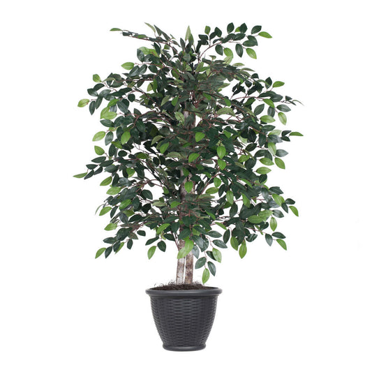 Vickerman 4' Artificial Mini Ficus Bush Gray Round Plastic Container.