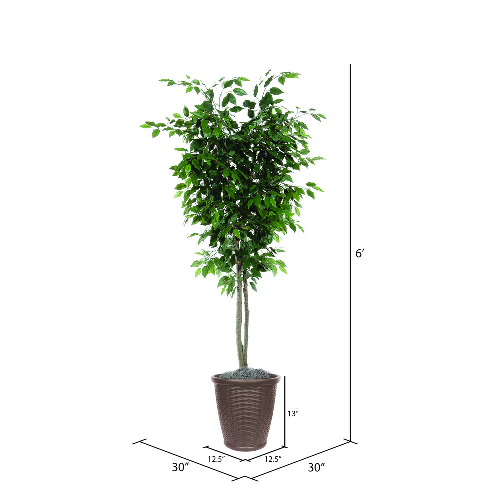 Vickerman 6' Artificial Ficus Deluxe Tree Brown Round Plastic Container.