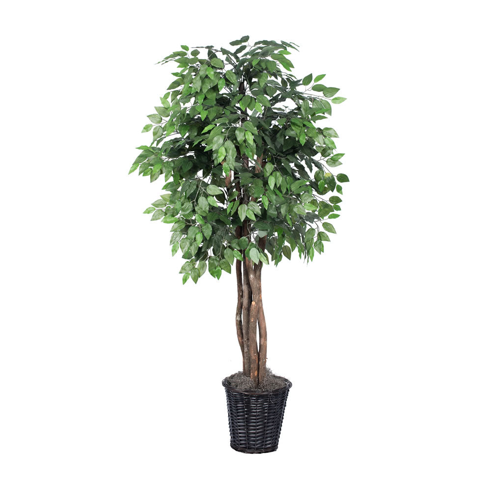 Vickerman 6' Artificial Ficus Executive Rattan Basket