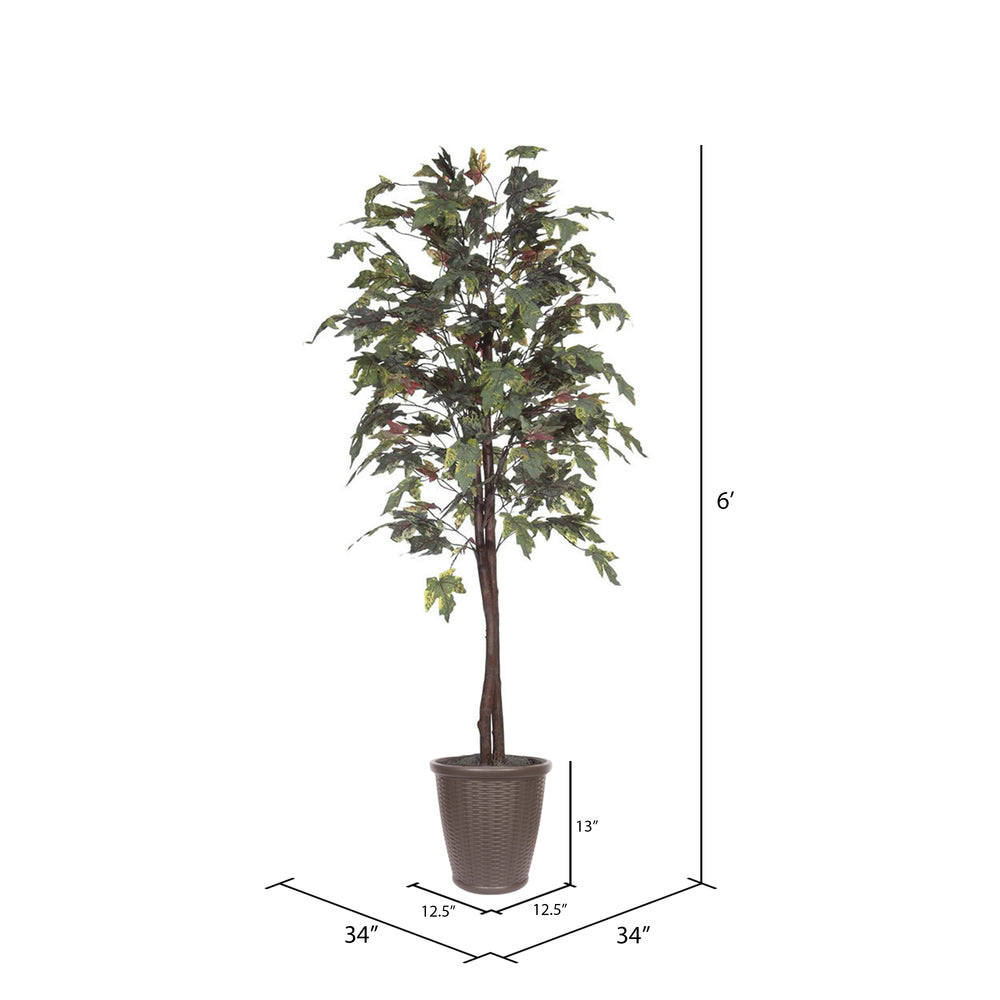 Vickerman 6' Artificial Frosted Maple Tree Brown Round Plastic Container.