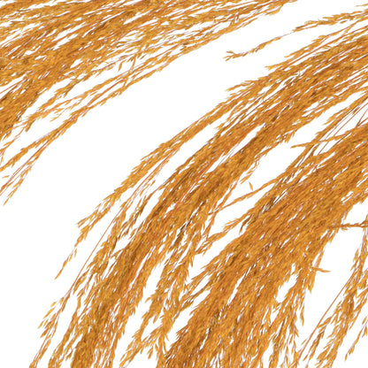 Vickerman 60-72" Aspen Gold Uva Palm Spray standing between 60 to 72 inches tall. Pack of 10.