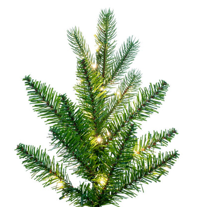 Vickerman 10' x 56" Balsam Spruce Slim Tree 2100 Warm White Low Voltage 3MM LED Lights.