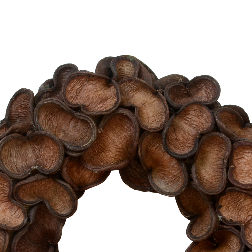 Vickerman 20" Natural Badam Wreath Dried