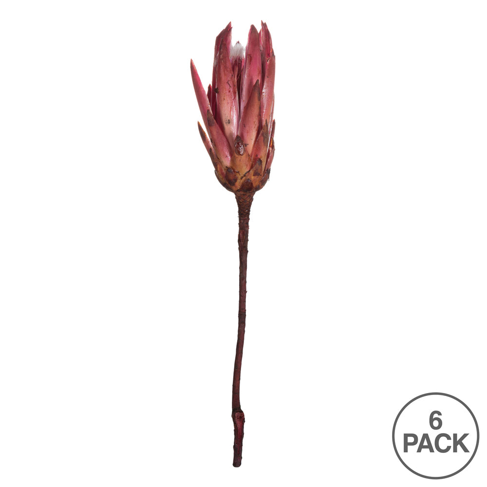 Vickerman 14" Erica Pink Repens on a Natural Stem.  Includes 6 Stems per Bundle Dried