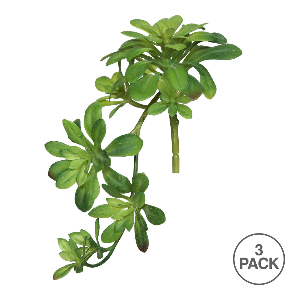 Vickerman 11" Artificial Green Aeonium Spray. Includes 3 sprays per pack.