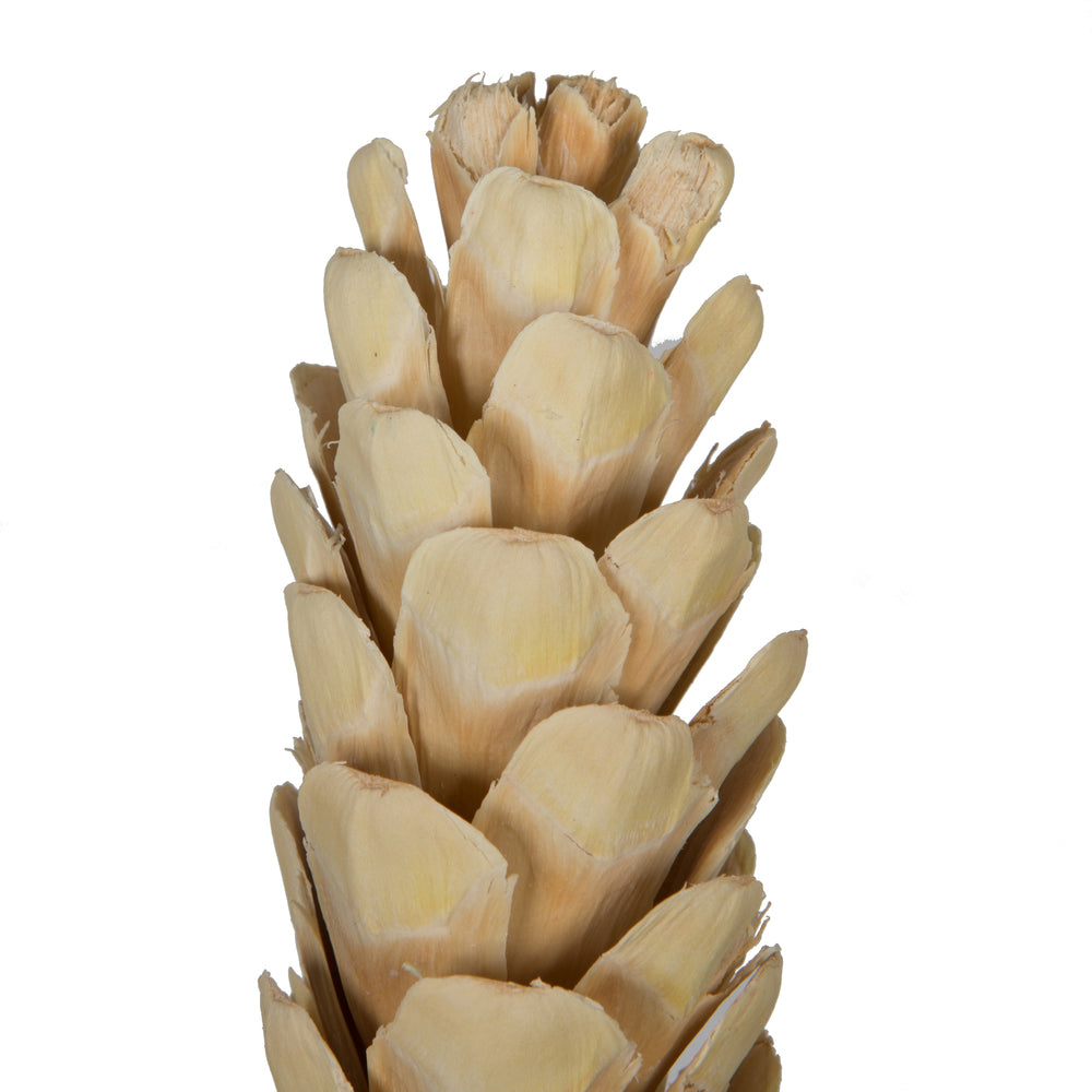Vickerman Natural Botanicals 3.14" Strobus Small Bleached. Includes 20 pieces per unit