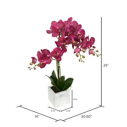 Vickerman 25" Artificial Plum Phalaenopsis In Stone Pot.