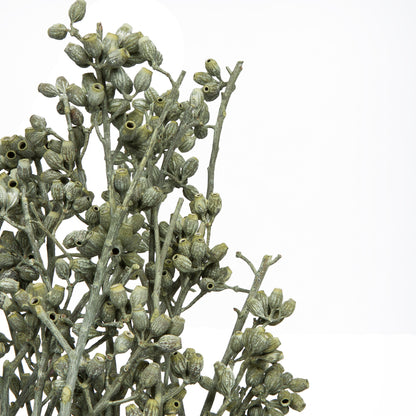 Vickerman Natural Botanicals 12" x 1-3" Eucalyptus Clusters on stem green frosted 16 stems per unit