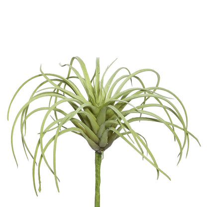 Vickerman 5" Artificial Green Tillandsia Pick 6 per Bag
