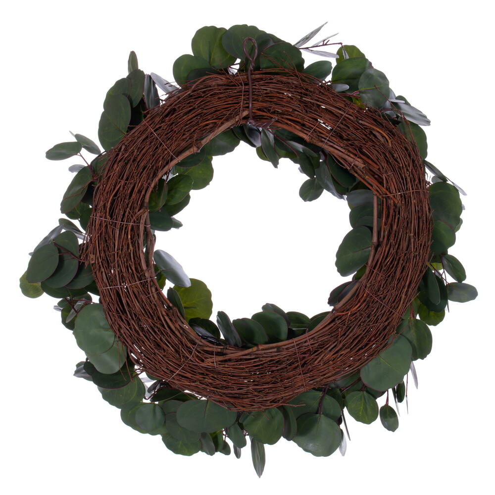 Vickerman 24" Artificial Green Silver Dollar Populus Eucalyptus Wreath