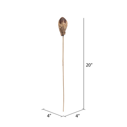 Vickerman Natural Botanicals 20" Mehogany Pods on Stem. Includes 100 Stems per Pack