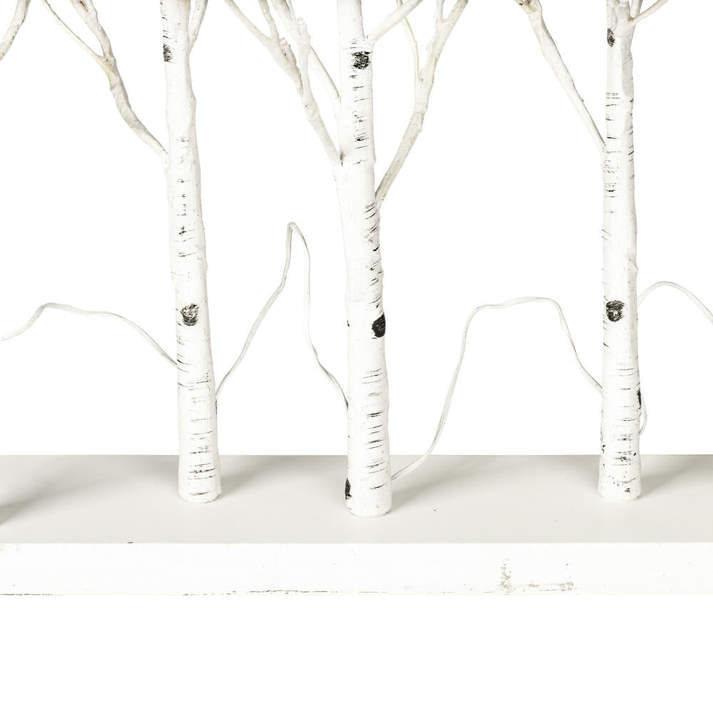 Vickerman 30" White Birch Twig Tree Grove Warm White 3mm Wide Angle LED lights 5 Piece Set.