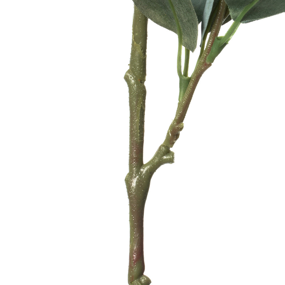 Vickerman 32" Artificial Green Eucalyptus Leaf Spray. Includes 3 sprays per pack.