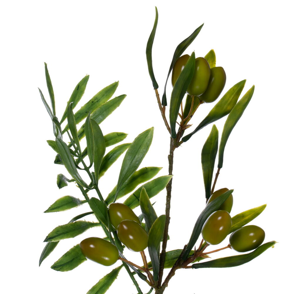 Vickerman 6' Artificial Mixed Olive Leaf Garland