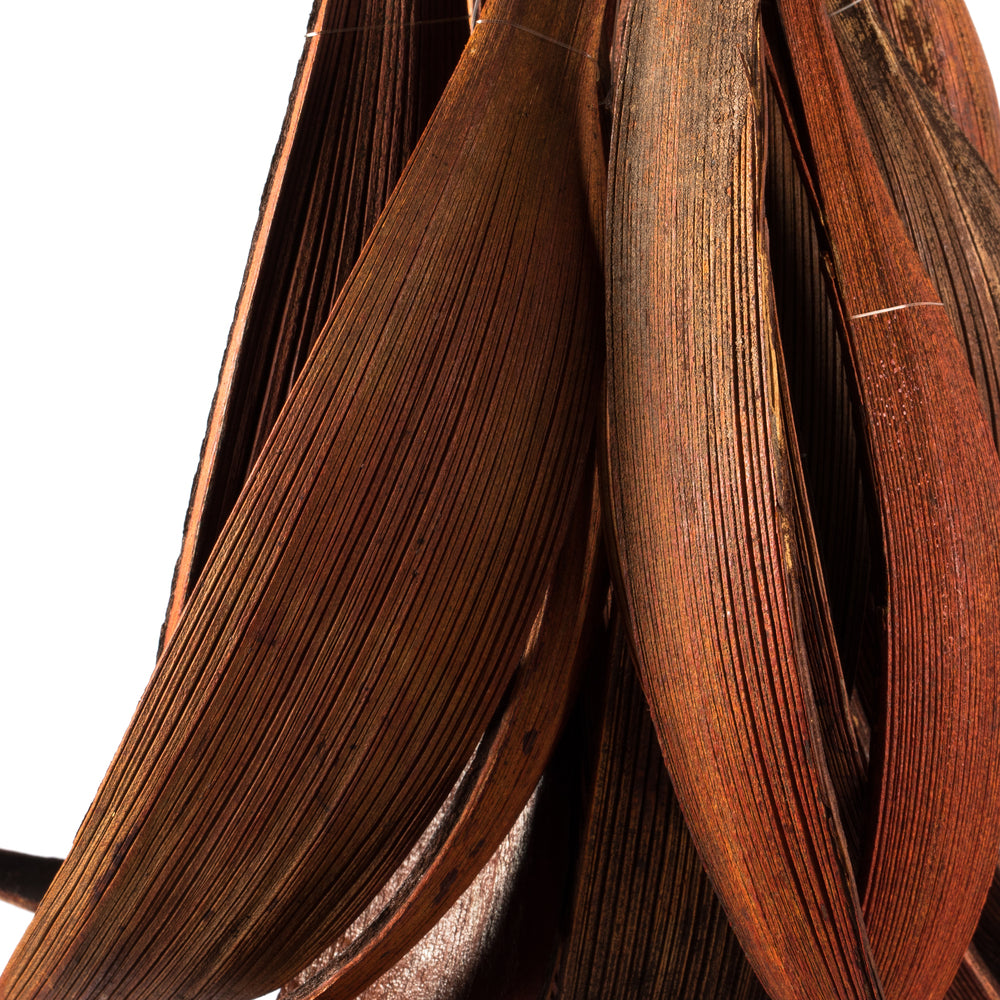 Vickerman 6-12" Dark Brown Palm Paddles Includes 32-37 pieces Dried
