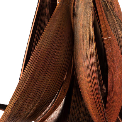 Vickerman 6-12" Dark Brown Palm Paddles Includes 32-37 pieces Dried
